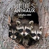 Calendrier mural bébés animaux by 