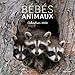 Calendrier mural bébés animaux by 