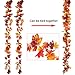 Molliy 2 Pcs Artificial Maple Leaf Garland Hanging Fall Leave Vines Hanging Plants for Autumn Wedding Door Fireplace Thanksgiving Dinner Party