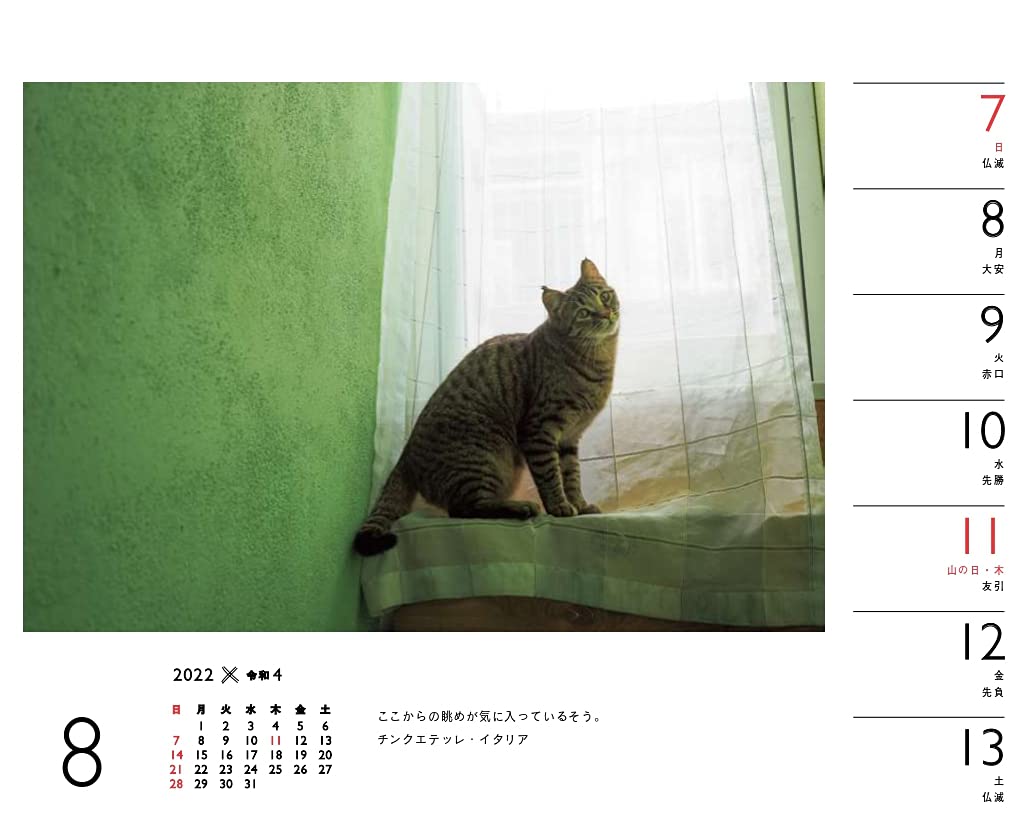 カレンダー22 岩合光昭 ねこ 週めくり 卓上 壁掛け リング ヤマケイカレンダー22 岩合 光昭 本 通販 Amazon