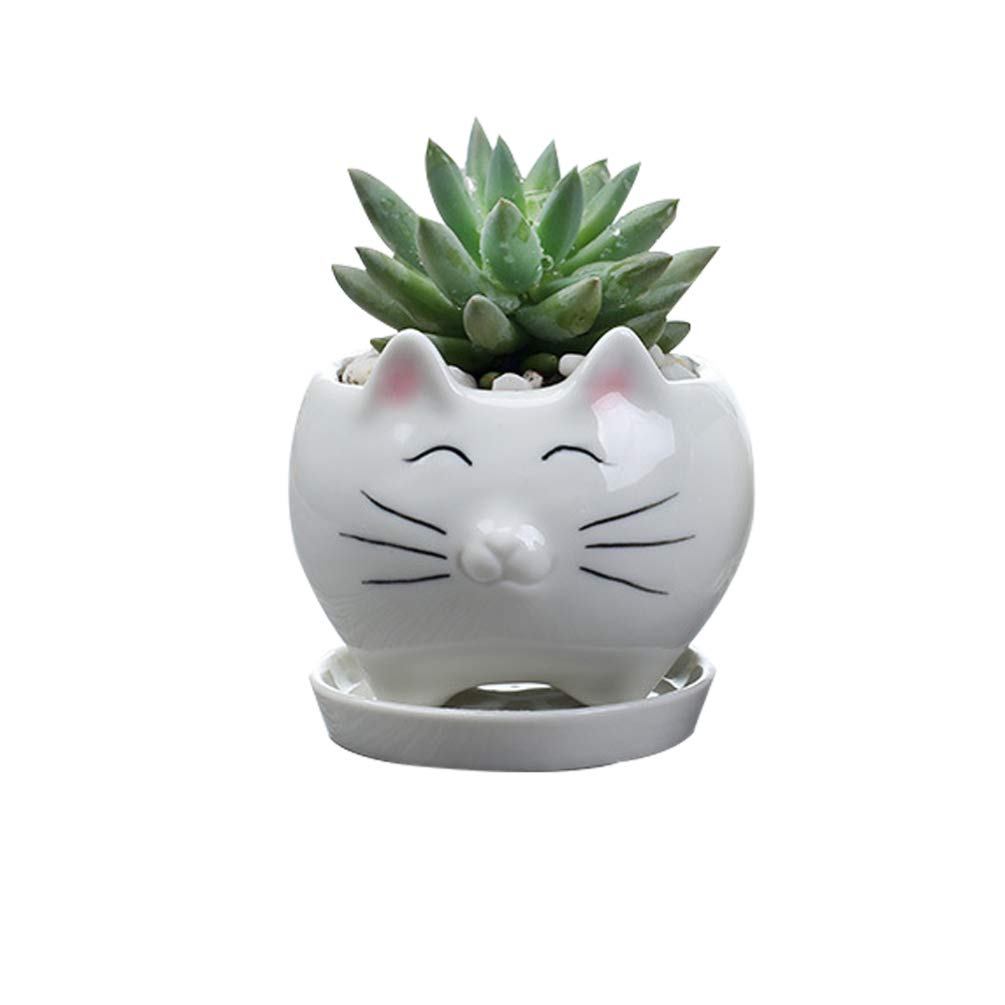 Yardwe 1PCS Cat Pots Creative Succulent Planter Pots Mini Ceramic Plants Containers for Home Office