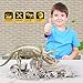 GYXL Dino Toy Dig Kit, DIY Dinosaur Fossil Toys, Kids Science Education Dinosaur Assembly Kit, Best Boys and Girls STEM Dinosaur Toys Gift.(Triceratops)