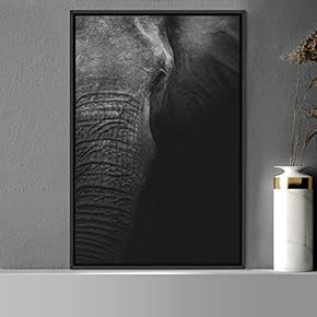 signwin Framed Canvas Wall Art High Contrast Portrait...