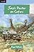 Jungle Doctor on Safari (Flamingo Fiction 9-13s) by 