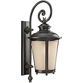 Generation Lighting 88242EN3-780 Cape May One Light Outdoor Wall Lantern, Burled Iron Finish