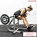 Valor Fitness DE-5 Plate Loaded Ab/Back Machine to Strengthen Lower Back and Core