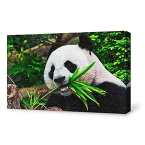 Canvas Wall Art for Living Room,Bedroom Home Artwork Paintings Cute Panda Ready to Hang - 12x18 inches