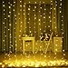 ZSTBT DM-300LW/1 300LED 9.84ft9.84ft/3m3m Window Curtain Lights for Party Wedding Home Patio Lawn Garden (Warm White)