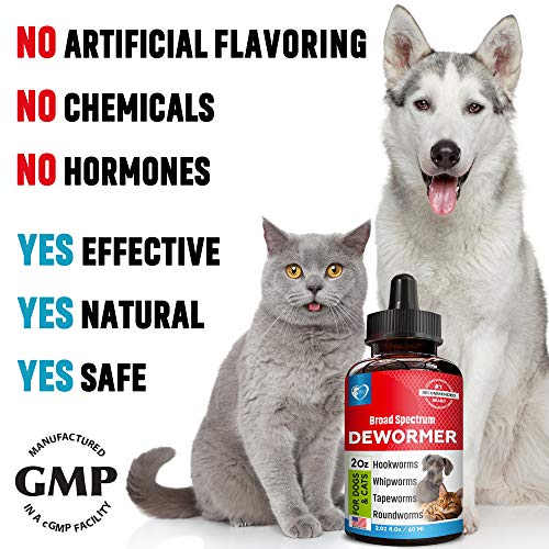 Beloved Pets Cat and Dog wormers Pricepulse