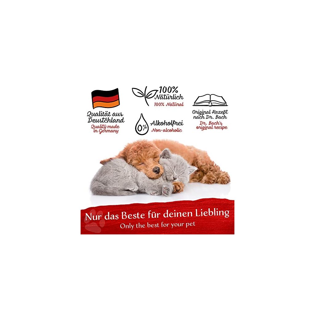BELISY Angst & Stress Bachblüten Globuli für Hunde & Katzen