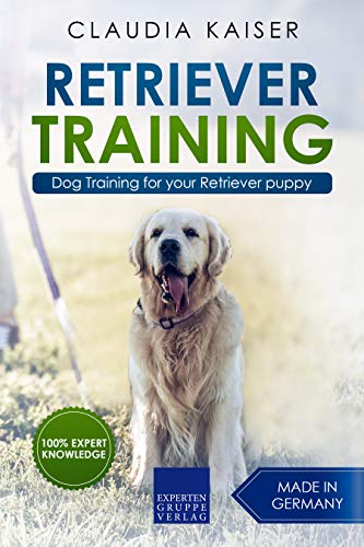 Retriever Training Dog Training For Your Retriever Puppy Golden