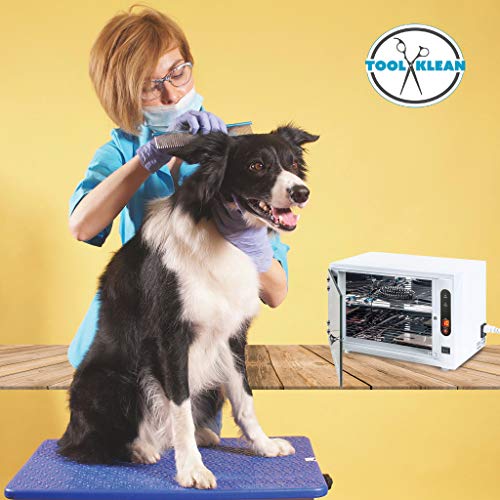 UV Light Sanitizer Box Large, Professional Grade, Fast UVC Sanitizer