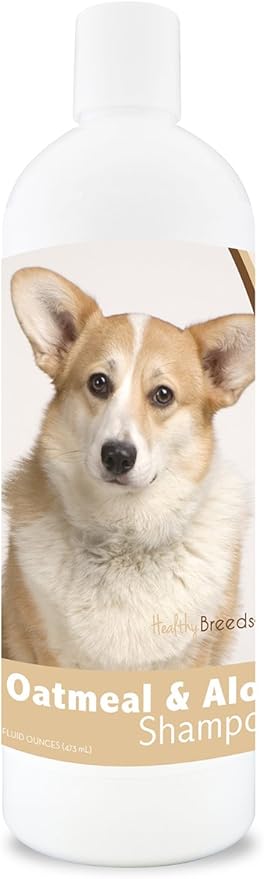 corgi hypoallergenic