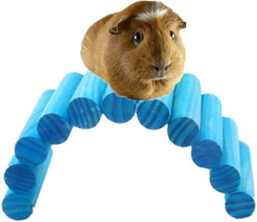 toy gerbil