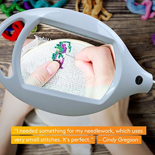 Brightech LightView Pro LED Magnifying Floor Lamp - Daylight Bright Full Spectrum Magnifier Lighted Glass Lens - Height Adjustable Gooseneck Standing Light - For Reading Task Craft Lighting - White