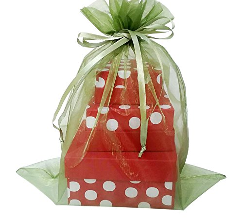 X Large Organza Bags Green Color 12 X 14 Desertcart Seychelles