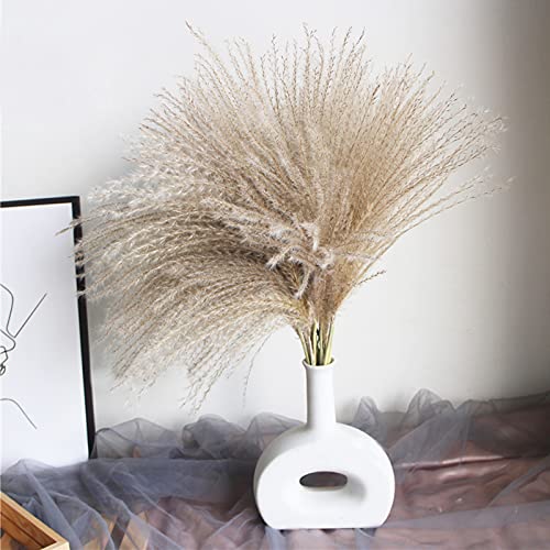 COREAET Natural Dried Pampas Grass, 60 Pcs ( 30 Pcs Reed Grass + 15 Pcs White Pampas + 15 Pcs Brown Pampas ), 18 inch Flowers Bouquet, DIY Boho Plant, Flower Arrangements for Home Decor Wedding Party