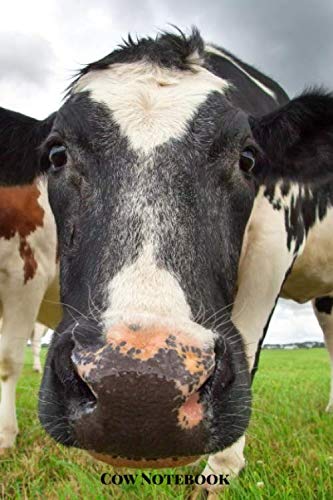 Cow Notebook: Small lined Cow notebook - Travel Journal to write in - 120 pages - 6"x9"