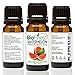 BioFinest Watermelon Fragrance Oil - 100% Pure & Natural - for Home Aromatherapy, Essential Oil Diffuser, Air Refresher, Skin and Hair Care Cosmetic Flavoring Candles Soap Spray - Free E-Book (10ml)