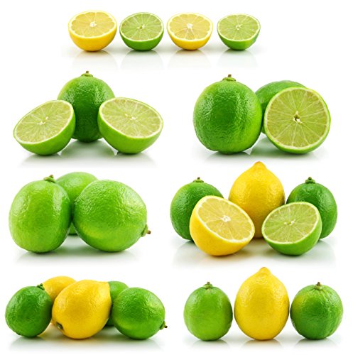 Chef'n 2-in-1 Juicester Jr. Citrus Juicer - Thumbnail 3
