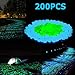 Stripsun Glow in the Dark Pebbles, [200pcs] Outdoor Glow Rocks Stones for Fairy Garden, Walkways, Driveway, Path, Fish Tank Aquarium DIY Decorations Gravel