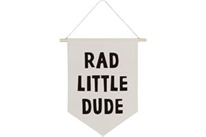 QODUNG Boy Nursery Wall Decor,Rad Little Dude Room Decor,Cool Wall Decor for Boys,Bedroom,Playroom,Toddler and Kids Room,Wall Hanging Pennant Flag Canvas Banner