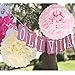 25PCS Tissue Paper Pom Poms Pink Paper Flowers DIY Paper Craft Decorations for Baby Shower Party Decorations, Birthday Party, Wedding Decor, Valentines Day, Bridal Shower Decorations-Pink Mix