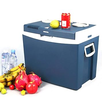 ACCDUER Cool Box Mini refrigerador Fresco y cálido eléctrico Caja ...