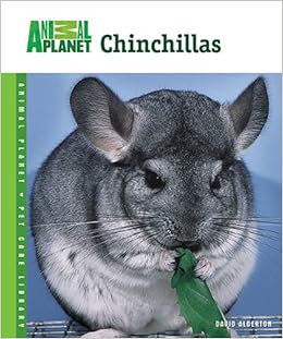 can chinchillas