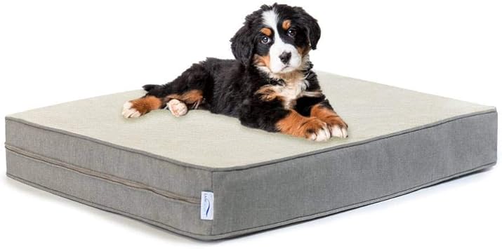eluxury dog bed frame