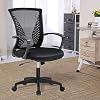 OffiClever Mesh Backrest Wheels Ergonomic Lumbar Support and Fully Adjustable Executive Office Chair, Black