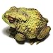Sunthus Frog Toad Sculptures Garden Statues Yard Art Resin Decorations Outdoor Garden Decor