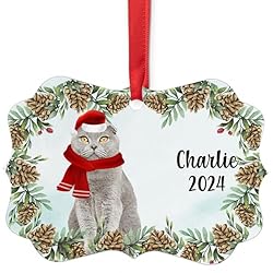 Grey Scottish Fold Cat Christmas Ornament 2024