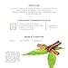 ArtNaturals 100% Pure Cinnamon Leaf Essential Oil - (.5 Fl Oz / 15ml) - Undilued Therapeutic Grade - Vitality Wellness and Warmth