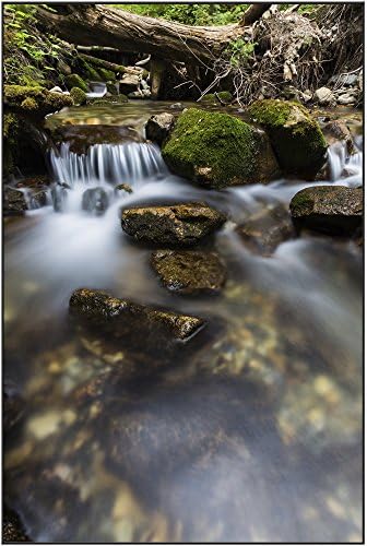 Utah Nature Photography Framed Art Photograph of Creek Near Donut Falls. 12"x18" Black Frame Direct From The Artist