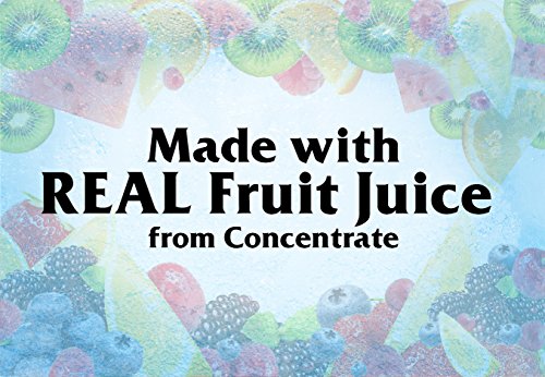 2 Wylers+Authentic+Italian+Freezer+Original