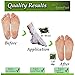 Dr. Entre's Exfoliating Foot Peel | 2 Pairs | Natural Exfoliant for Smooth Baby Soft Feet, Dry Dead Skin Treatment, Repair Rough Heels, Callus Remover Sock Booties (Coconut, 2 Pairs)