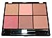 12 Classic Color Elegant Blush Set