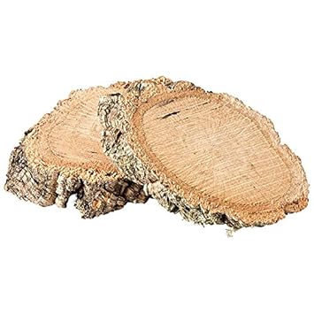 2er-Set Baumscheiben Kork (Korkeiche Korkstück Korkbaum Korkrinde Holz) – EIN Paar (Zwei Stück)