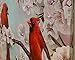 BANBERRY DESIGNS Bird Pictures - Cardinal Pair in Cherry Blossoms - Spring Cardinals LED Lighted Canvas Print - Bird Collection