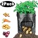 HYRIXDIRECT 2 Pack 10 Gallon Black Grow Bags Portable Potato Growing Bag Planter Bags Planting Pouch with Handles Access Flap for Carrot Onion Vegetables