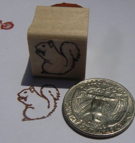 P24 Squirrel Miniature Rubber Stamp WM