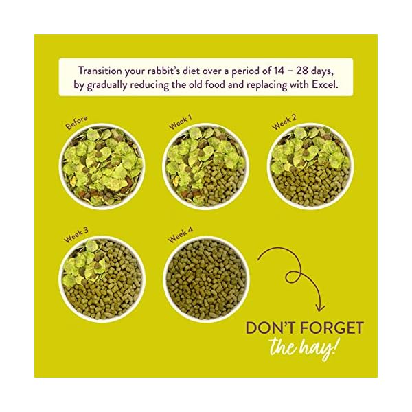 Burgess Excel Nuggets with Mint Adult Rabbit Food, 10 kg