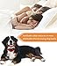 [UPGRADED 2018] No Bark Collar - Best Rechargeable Anti-Barking Shock Control with 5 Levels Automatic Bark Collar for Small Medium Large Dogs Electronic Safe Stop Bark (6+lbs)