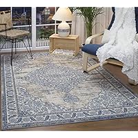 Antep Rugs Florida Collection Distressed Medallion Polypropylene Indoor Area Rug (Blue, 8