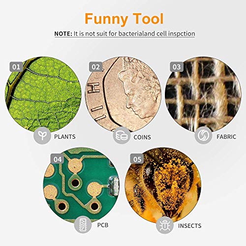 2 Microscope+ANNLOV+Magnification+Compatible+Smartphone