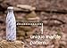 Stainless Steel Water Bottle + Bonus Cleaning Brush! Unique and Great Gift Idea for Mom, Dad, Son or Daughter (White Marble, 17 Oz)