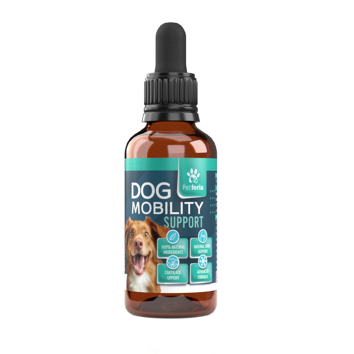 Dog Mobility Support | Support Mobility and Flexibility | Dog Mobility Comfort | Natural | Active Formula | Devils Claw For Dogs