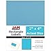 JAM PAPER Shipping Address Labels - Standard Mailing - 2 x 4 - Blue - 120/Pack