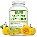 Garcinia Cambogia, Natrogix Garcinia Cambogia Complex Extract with 80% HCA, Natural Appetite Suppressant, Weight Loss Supplement Formula - Free E-Book - 100% Money Back - 60 VCapsules